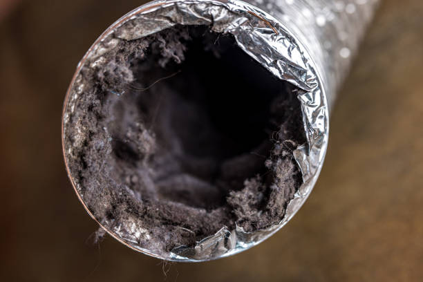 Best Affordable Duct Cleaning Services  in White Marsh, MD